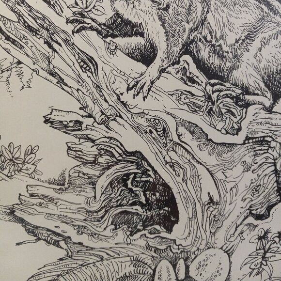 Paul Lee Drawing #27/95 1st ed. "Woodlot Jester: Chipmunk" 1975-85 - Picture 4 of 8